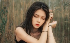 外交部泰刚叛徒